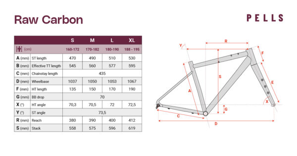 PELLS Raw Carbon 2 Dijon Gold - S - Image 6